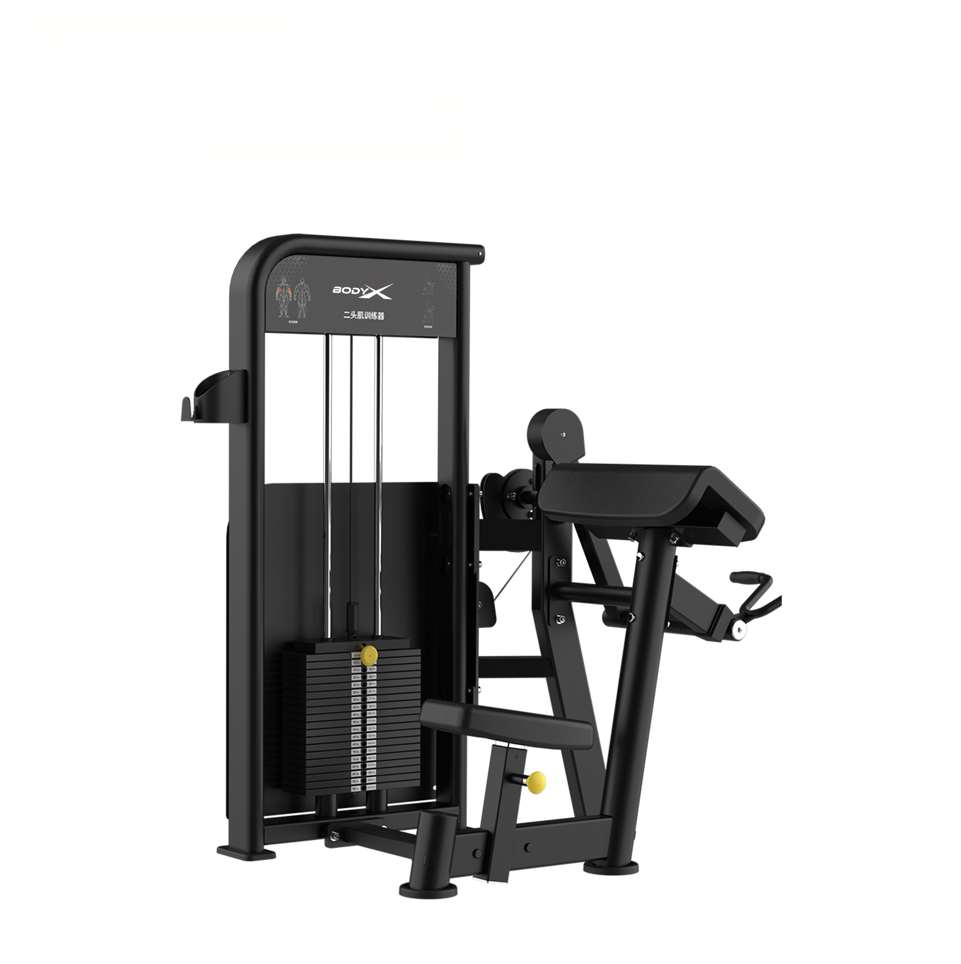 BLY-06 Chest & Back Machine