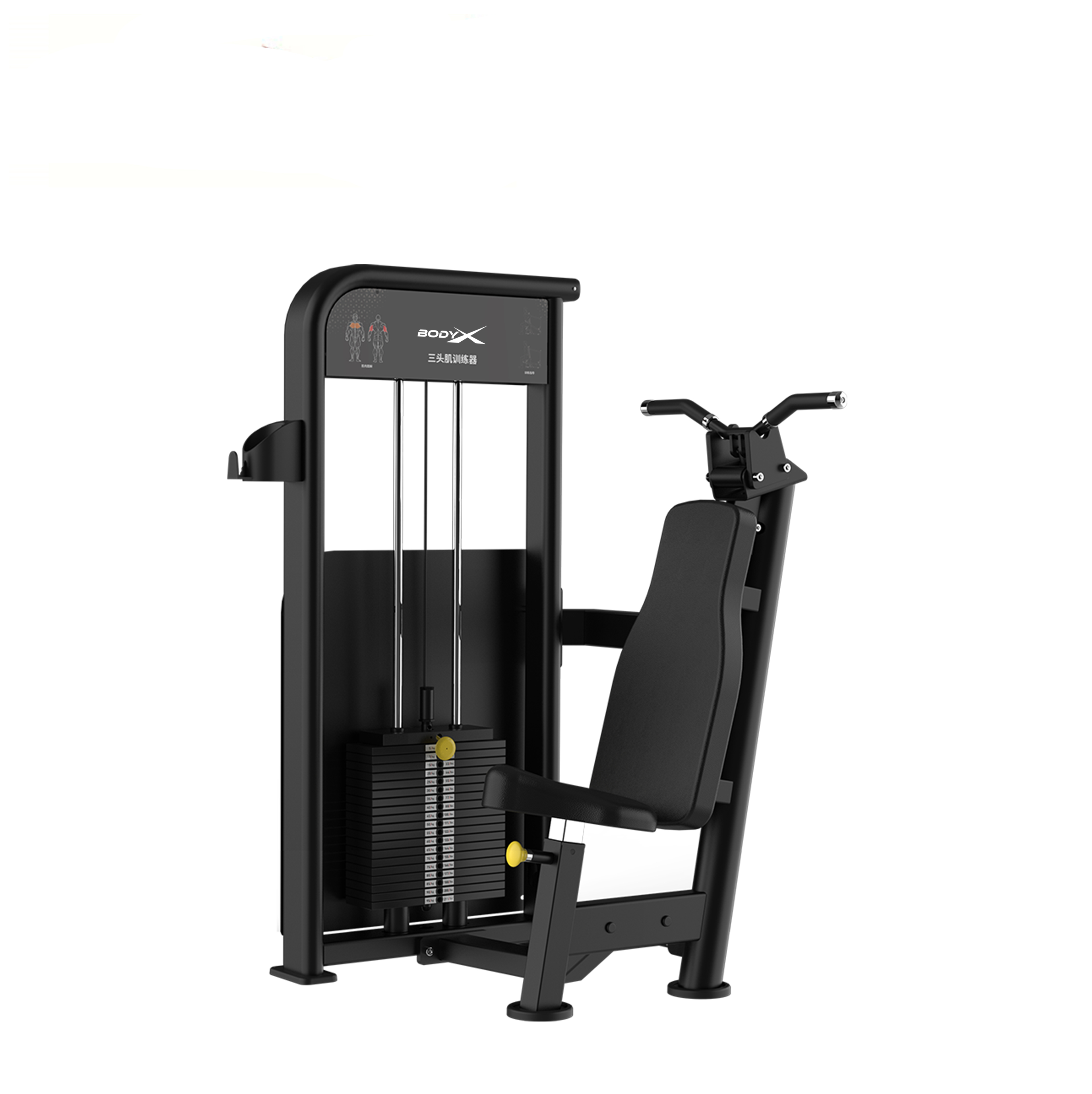 BLY-07  Triceps Press  Machine