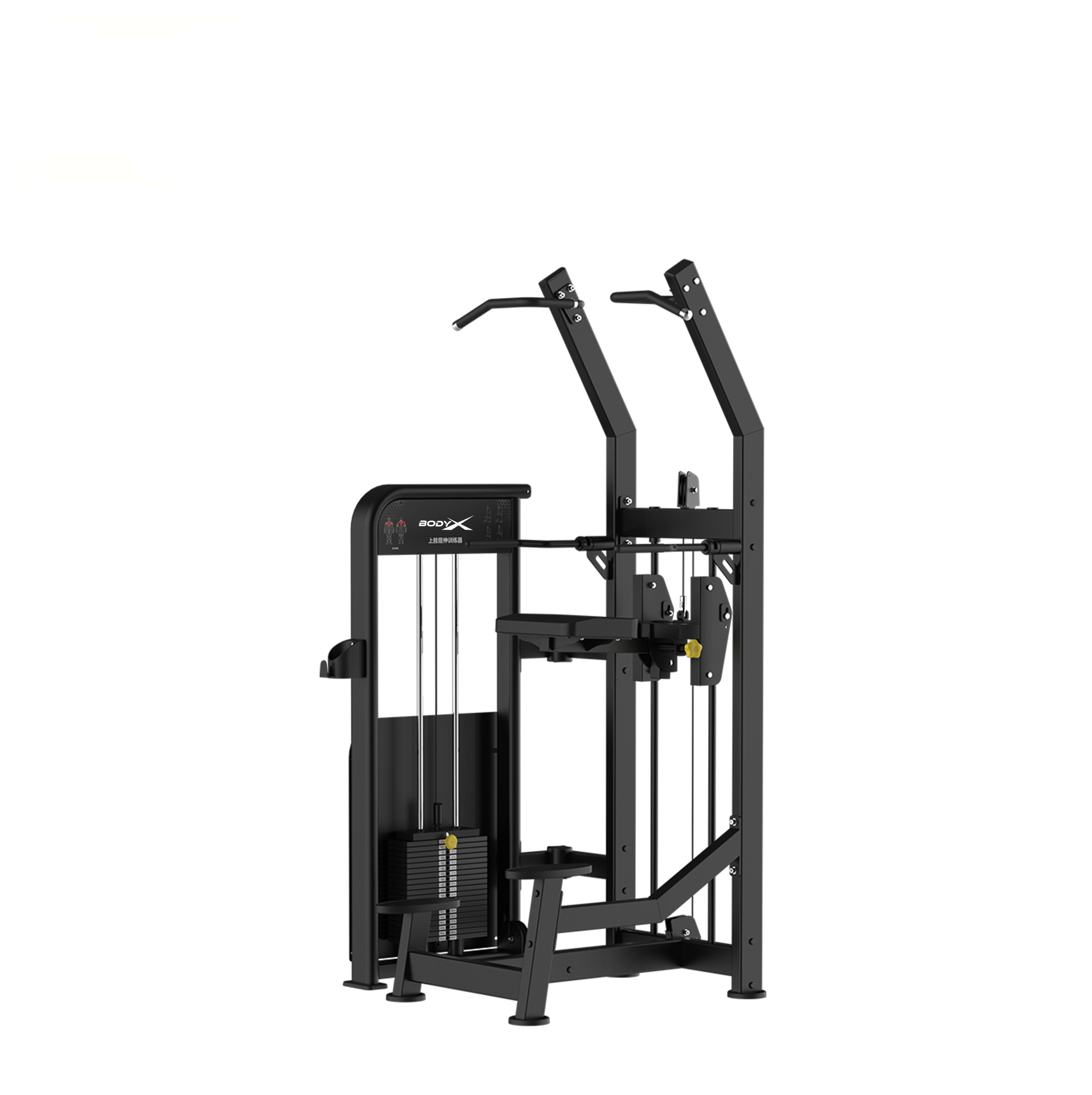 BLY-08  Assisted Chin/Dip  Machine