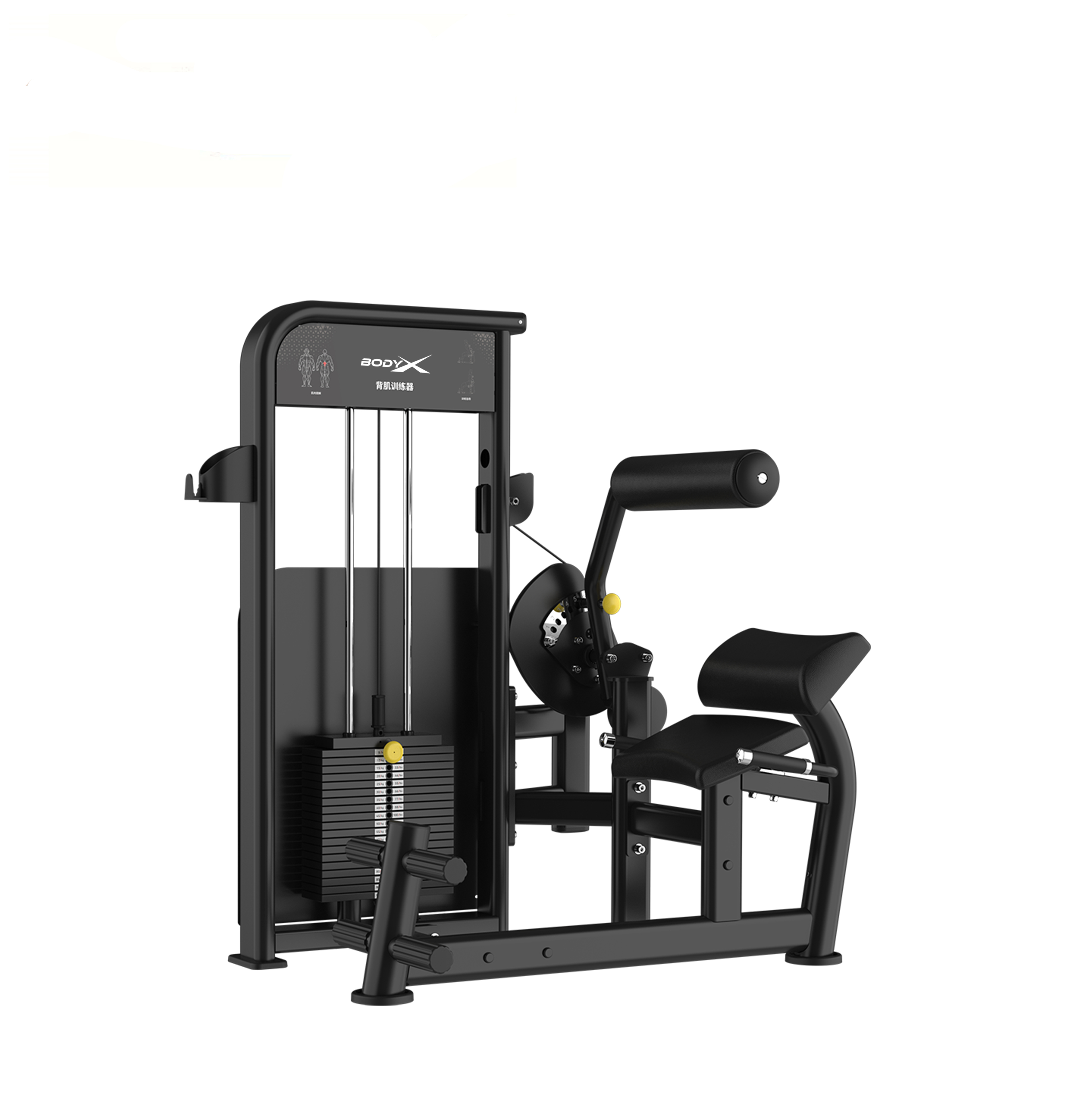 BLY-09 2026  Lower Back Machine