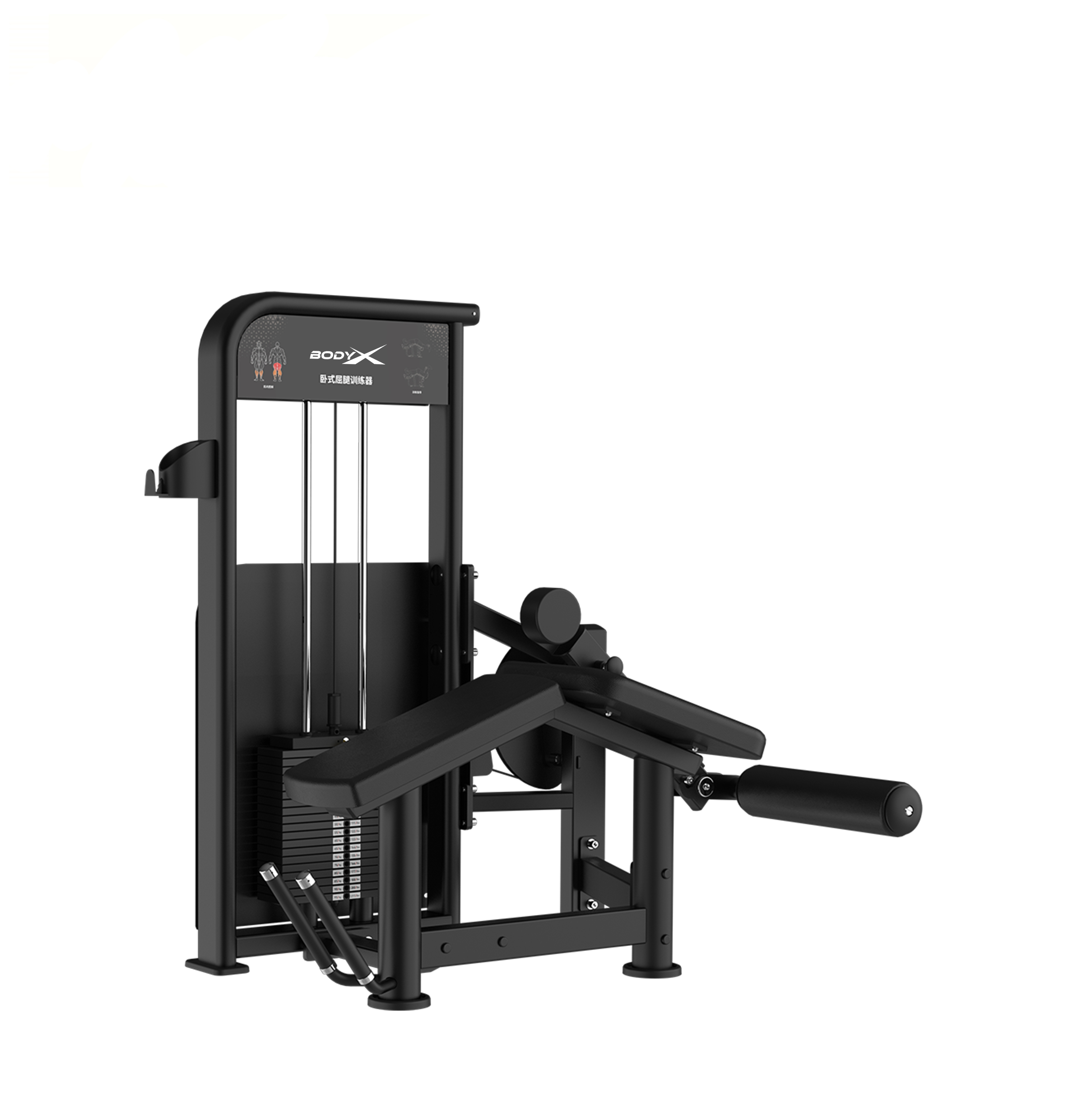 BLY-13A  Leg Curl Machine