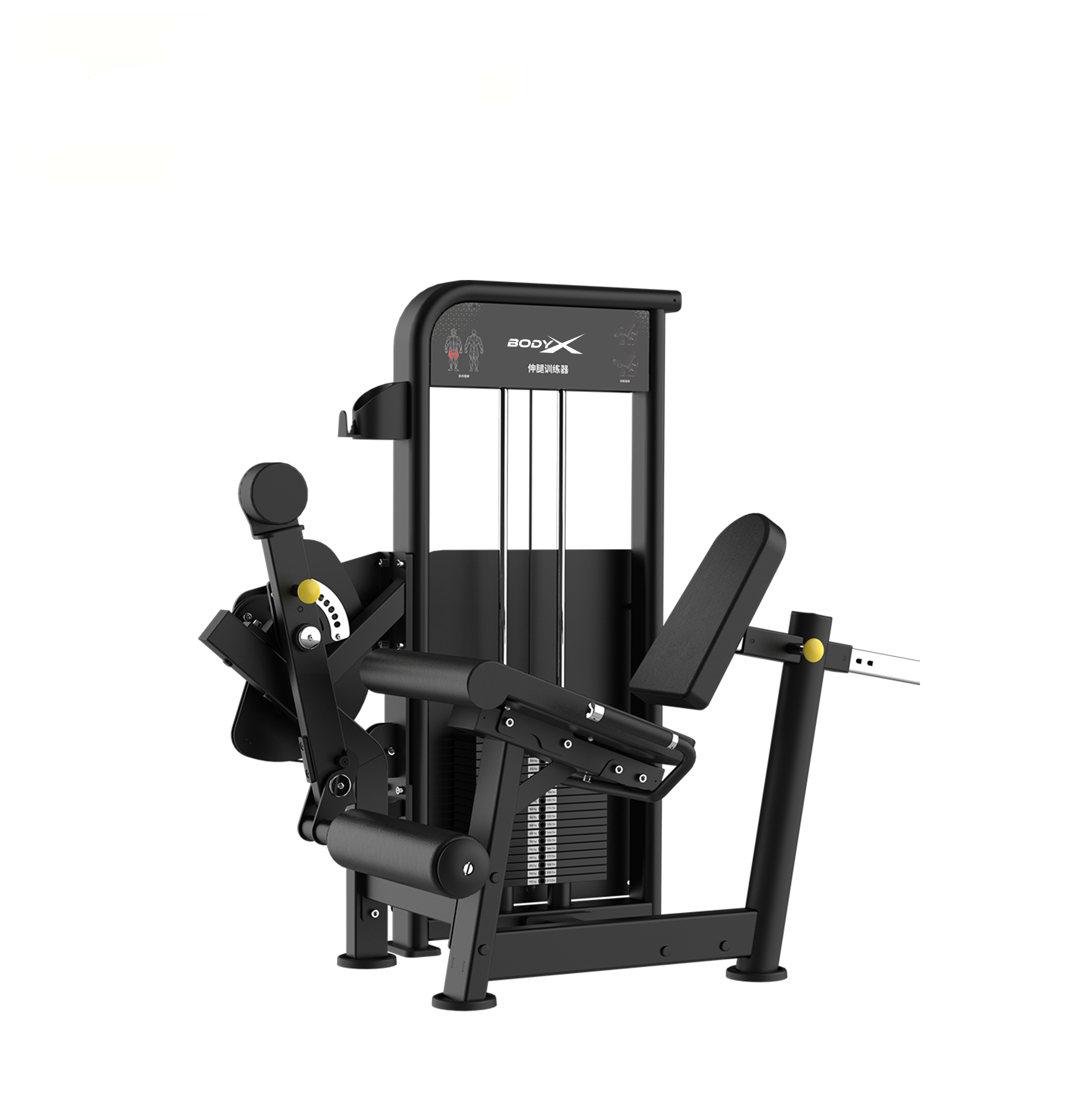 BLY-14  Arms Leg Extension Machine