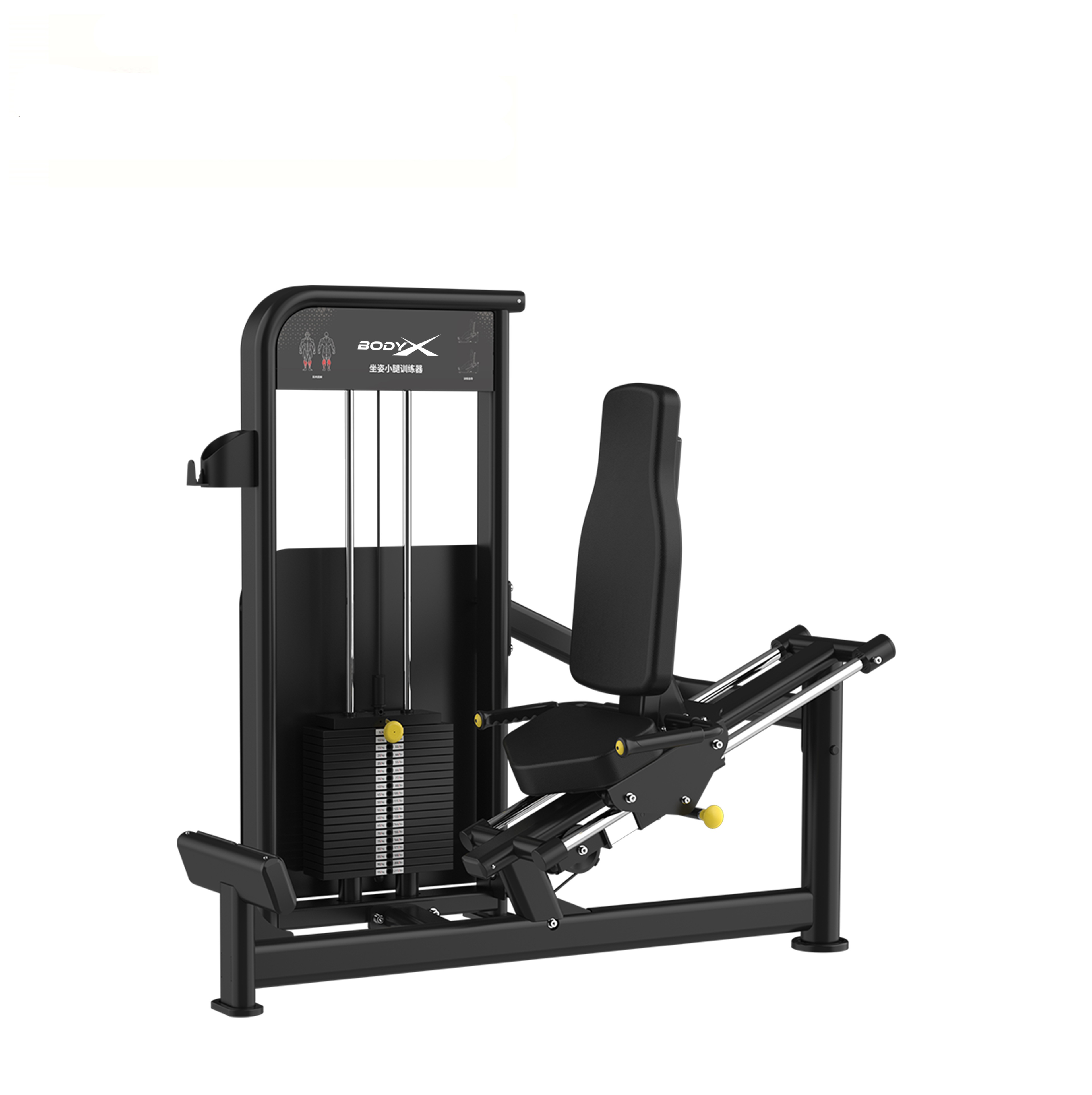 BLY-17  Calf Extension Machine